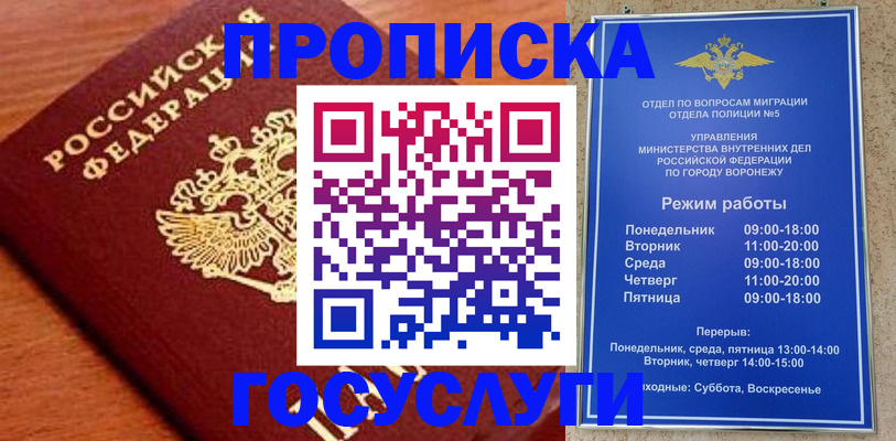 прописка для школы в Шумихе